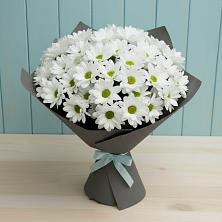 Букет цветов из:  Хризантемы в Поныри