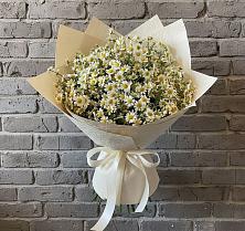 Букет цветов из:  Ромашки в Поныри